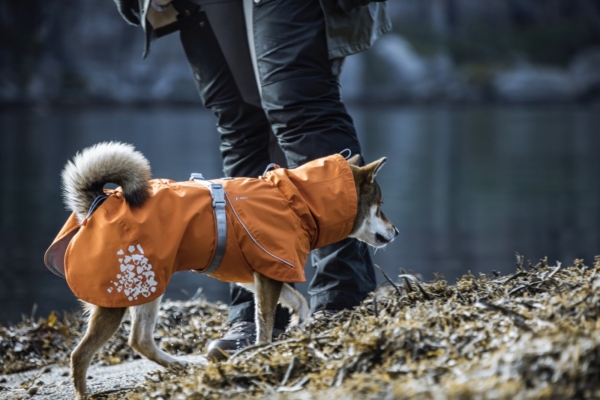 Hurtta Hunde-Regenmantel Monsoon coat orange